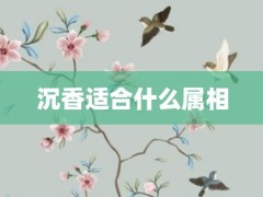 沉香适合什么属相